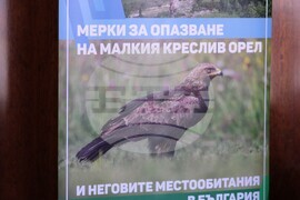 Земите и горите на орела - заключителна пресконференция