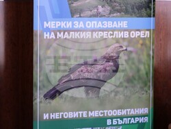 Земите и горите на орела - заключителна пресконференция