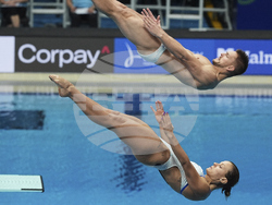 Singapore Swimming Worlds