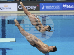 Singapore Swimming Worlds