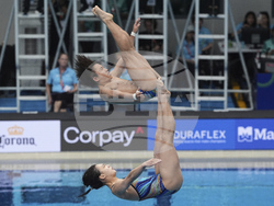 Singapore Swimming Worlds