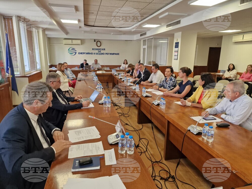 Public Hearing Held on Bulgaria’s 10-Year Grid Plan