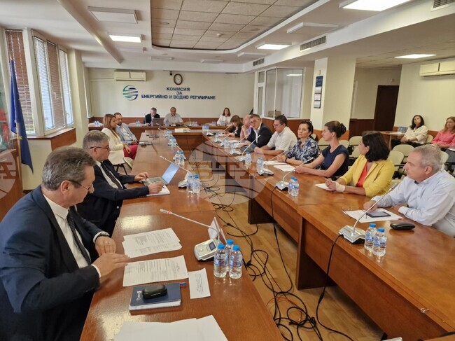 Public Hearing Held on Bulgaria’s 10-Year Grid Plan