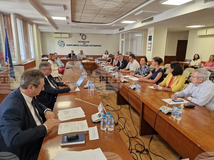 Public Hearing Held on Bulgaria’s 10-Year Grid Plan