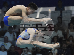 Singapore Swimming Worlds