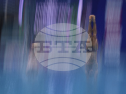 Singapore Swimming Worlds