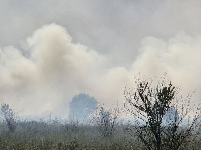 Гори на няколко места едновременно по Подбалканския път, има съмнения за умишлен палеж, каза Росен Георгиев, ръководител на пожарната в Сливен