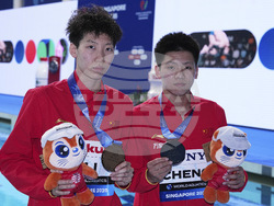 Singapore Swimming Worlds