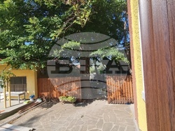 Сливен - църковен двор - премахване на дървета