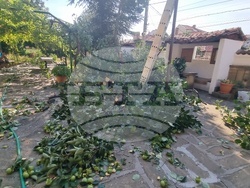 Сливен - църковен двор - премахване на дървета