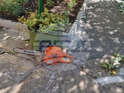 Сливен - църковен двор - премахване на дървета