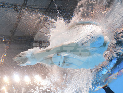 Singapore Swimming Worlds