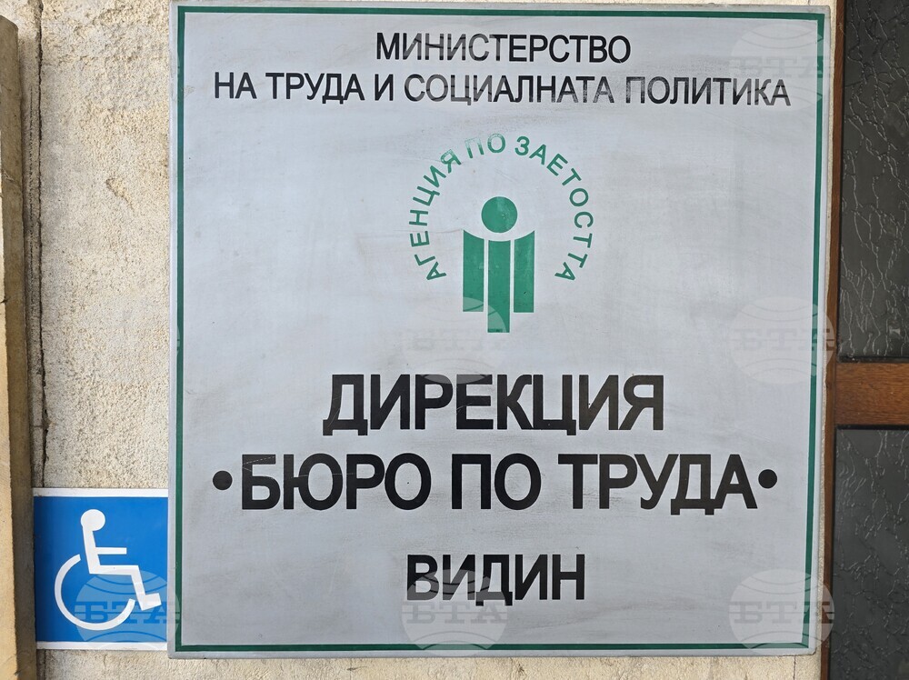 Към края на второто тримесечие отчетеното ниво на безработица в Бюрото по труда във Видин е 8,82 на сто, каза директорът Александра Рачева