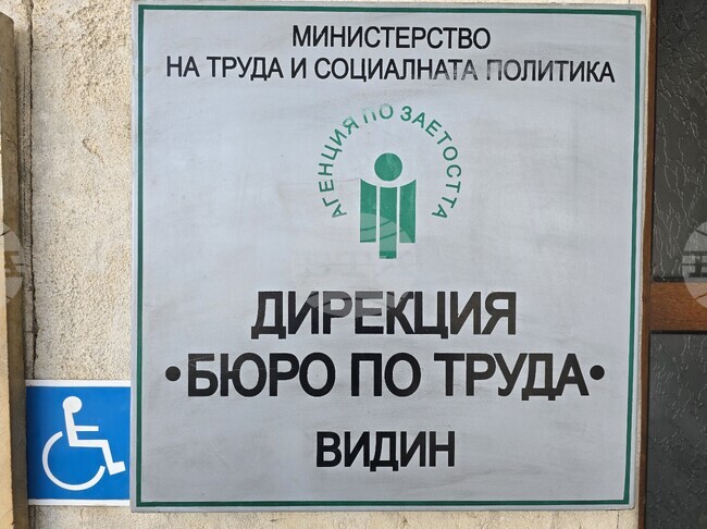 Технически ръководител в сферата на строителството, инженер и екскурзовод са сред трайно търсените кадри във Видинско