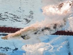 Singapore Swimming Worlds