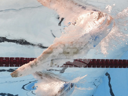 Singapore Swimming Worlds