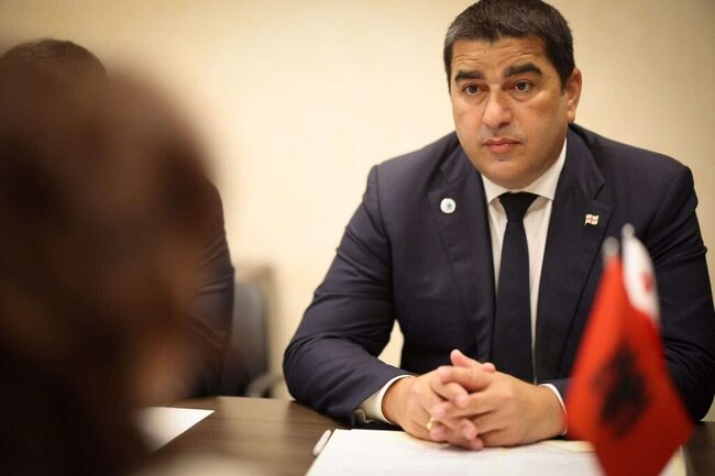 ГПБ: Председателят на грузинския парламент Шалва Папуашвили се срещна със своя албански колега