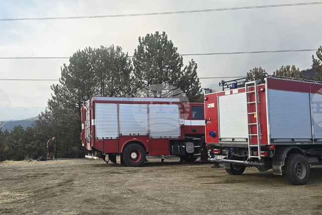 Потушени са 90 пожара през изминалото денонощие, няма загинали и пострадали