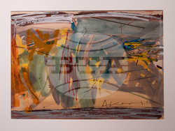 Варна - Александър Капричев - изложба