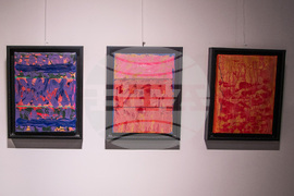 Варна - Александър Капричев - изложба