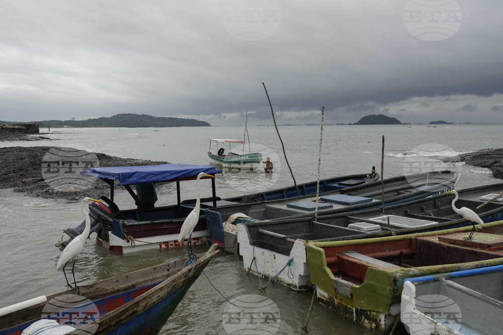 Panama Pacific Tsunami