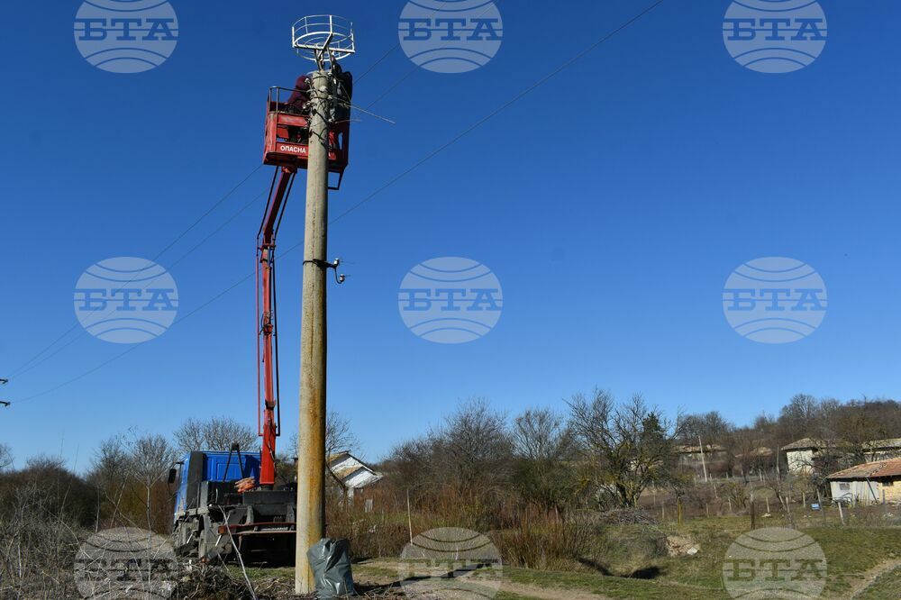 Възстановиха единственото щъркелово гнездо в разградското село Благоево