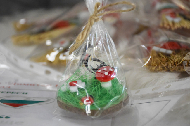 Благоевград - ученици - благотворителност