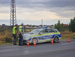 Пловдив - поверки - полиция - животни
