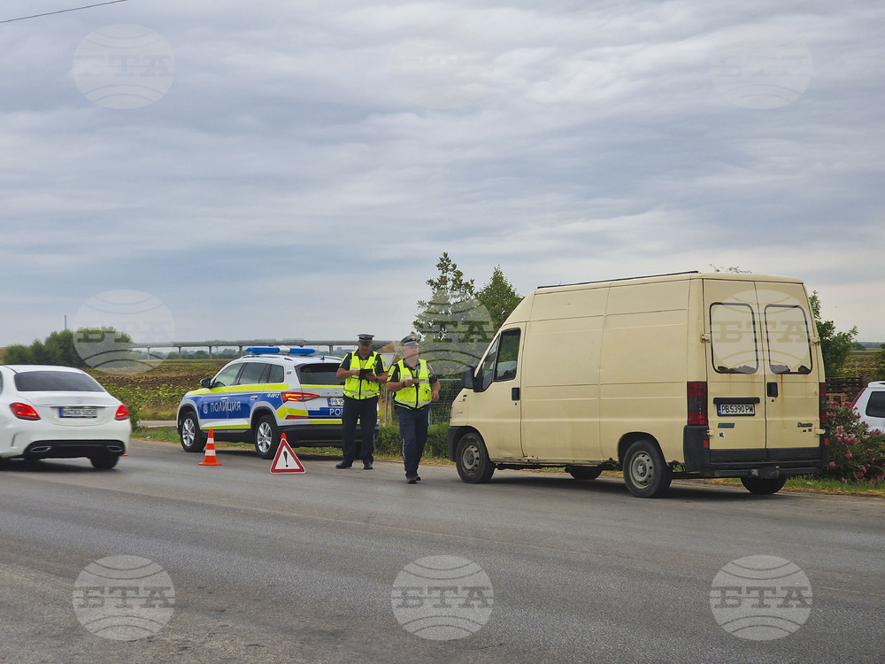 Inspections Do Not Find Illegal Trafficking, Sale of Pox-Infected Animals in Plovdiv Region Amid Outbreak
