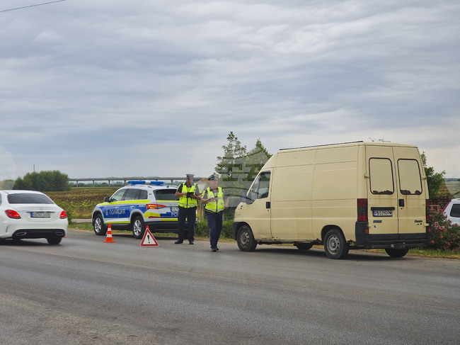 Inspections Do Not Find Illegal Trafficking, Sale of Pox-Infected Animals in Plovdiv Region Amid Outbreak