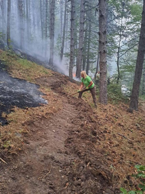 Пресконференция на Национална федерация „Земеделие и горско стопанство“ към КТ „Подкрепа“ на тема „Кризата в горския сектор“ 