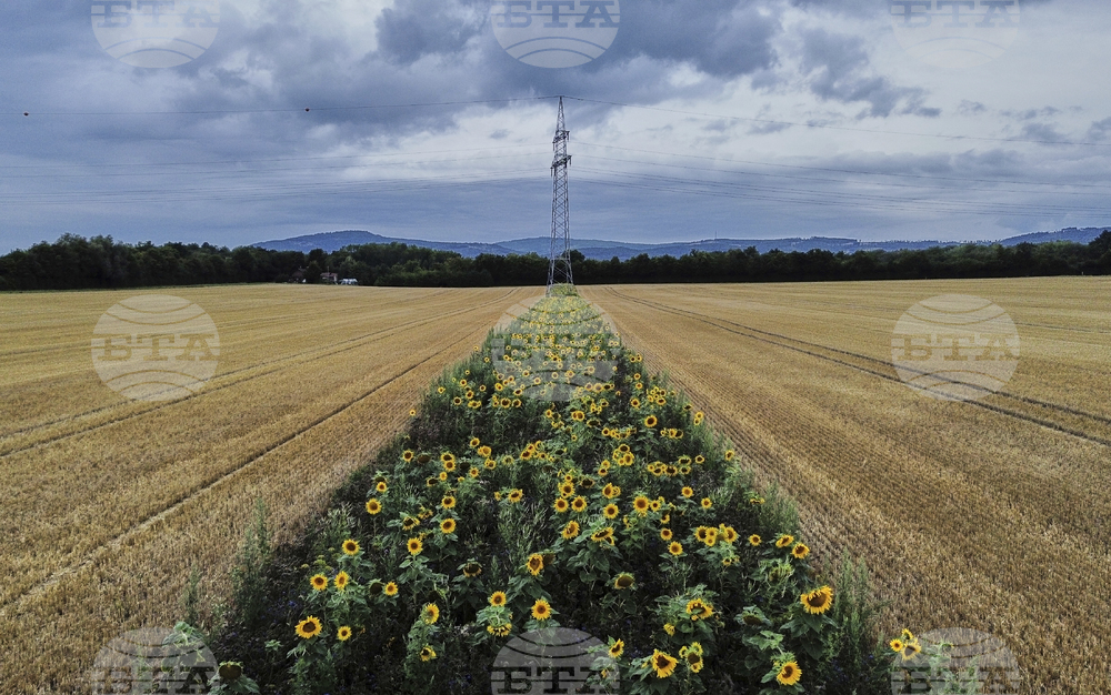 APTOPIX Germany Daily Life