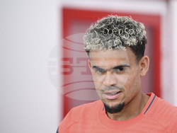 Germany Soccer Bundesliga