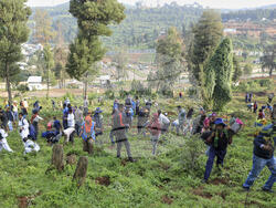 Ethiopia Tree Planting