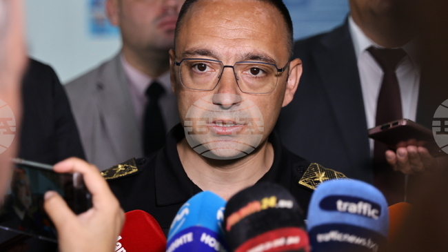 All Major Wildfires in Bulgaria Contained, Pirin Blaze Under Control, Says Fire Safety Chief