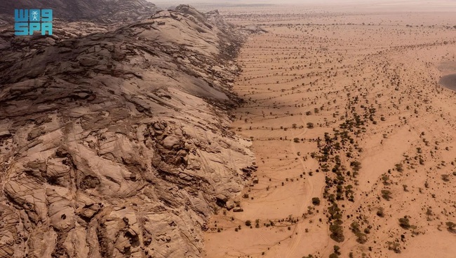 СПА: Саудитска Арабия гради по-зелено бъдеще с амбициозни екологични инициативи
