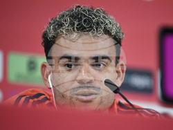 Germany Soccer Bundesliga