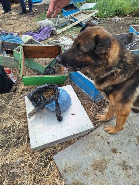 Близо килограм канабис е открит и иззет в карнобатското село Смолник при операция на полицията