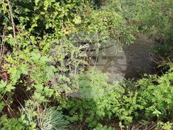 Снимка: Областна администрация Русе