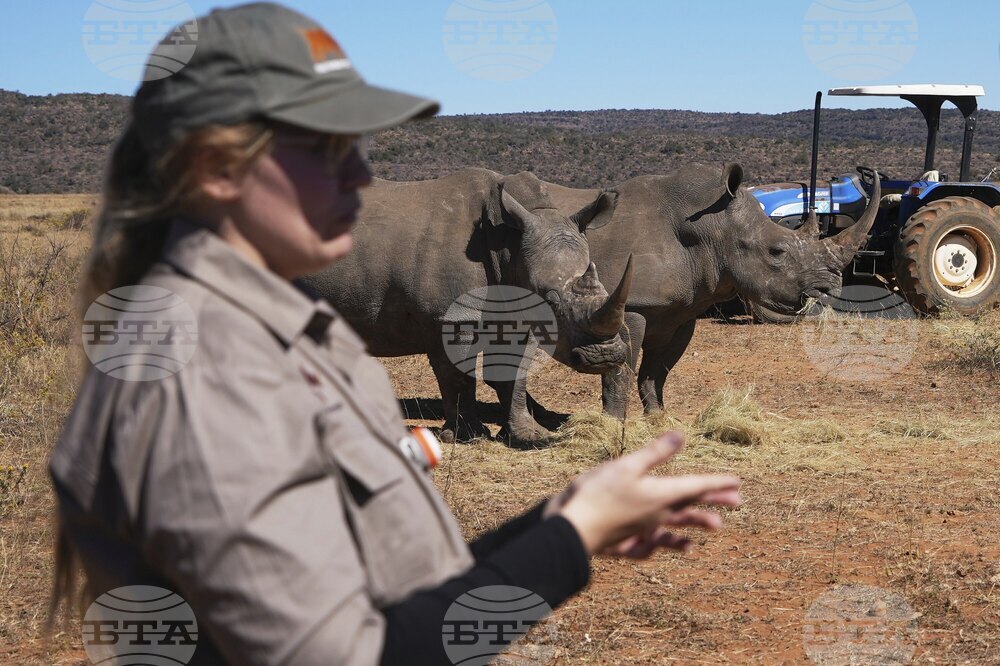 South Africa Radioactive Rhinos