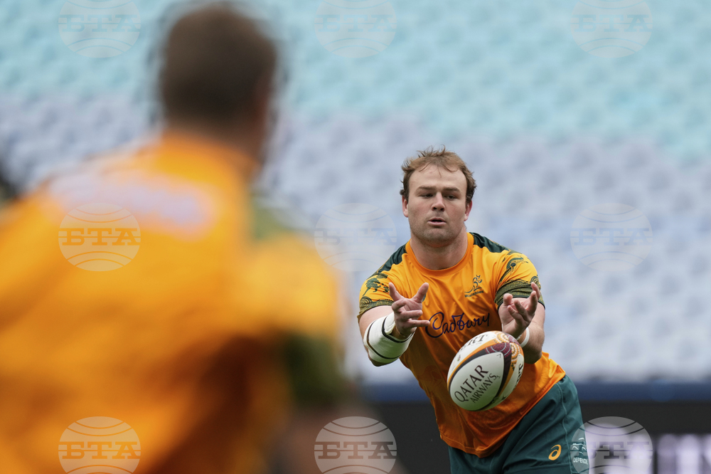 Australia Lions Rugby