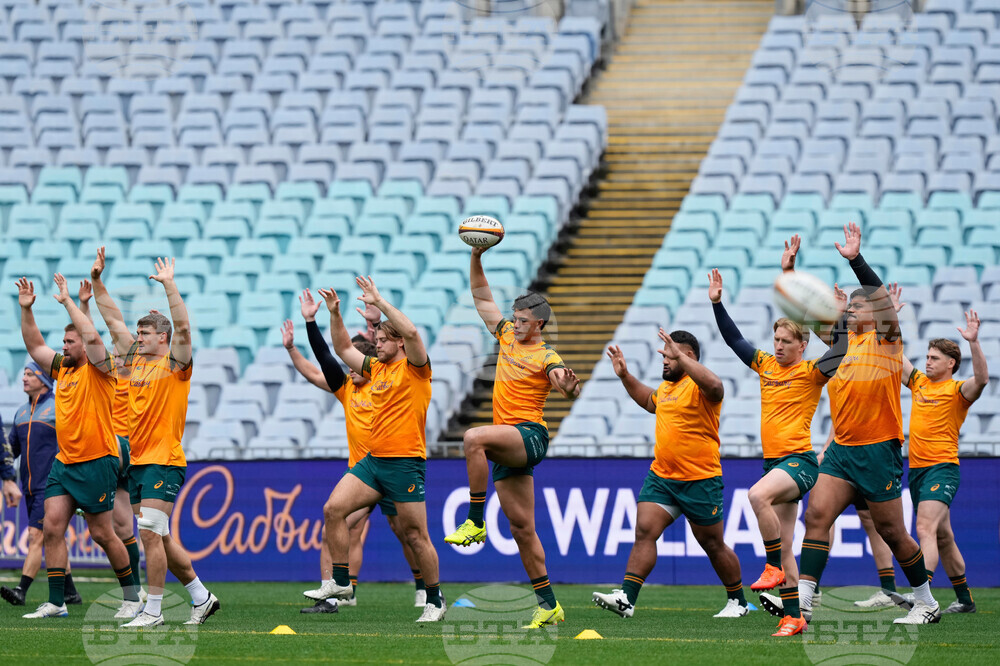 Australia Lions Rugby