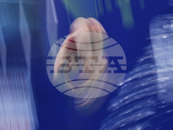 Singapore Swimming Worlds