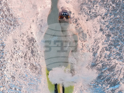 Singapore Swimming Worlds