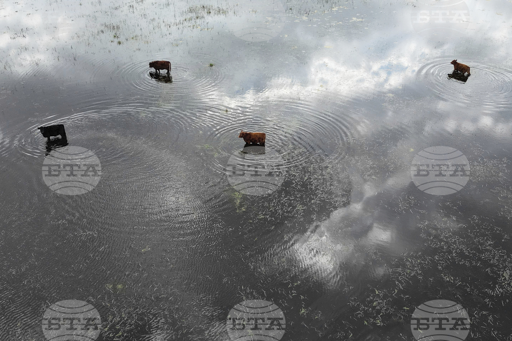 Pictures-of-the-Week-Global-Photo-Gallery