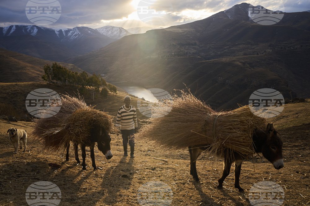Pictures-of-the-Week-Global-Photo-Gallery