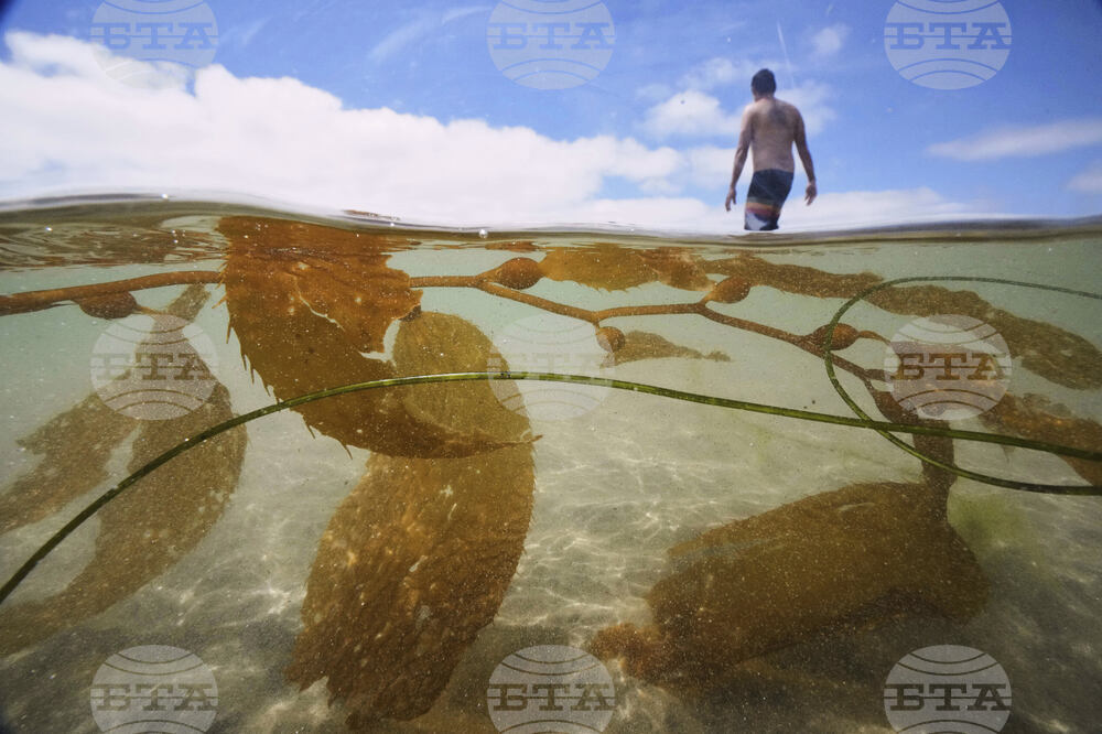 Pictures-of-the-Week-Global-Photo-Gallery