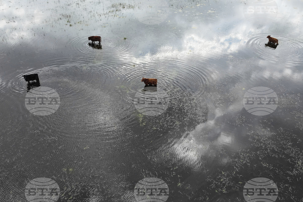 Pictures of the Week Latin America and Caribbean Photo Gallery