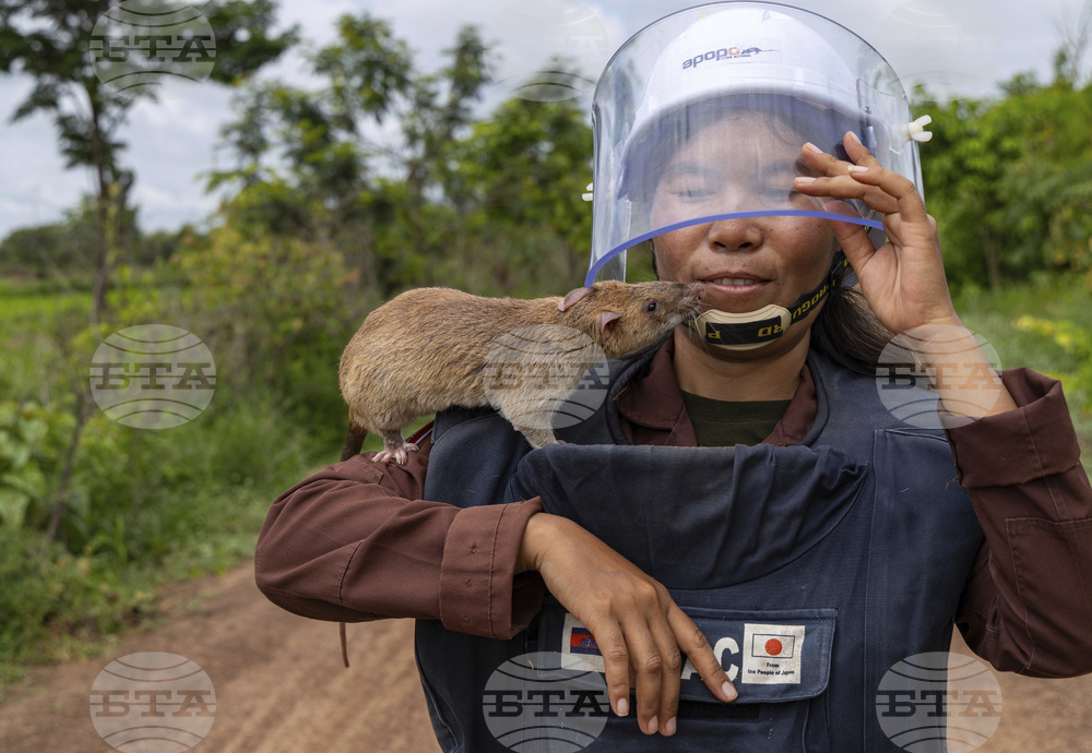 AP Top Photos of the Month July 2025