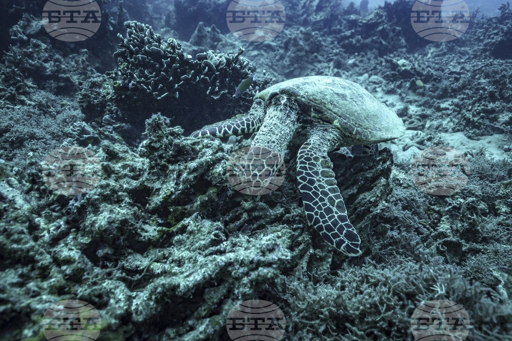 AP Top Photos of the Month July 2025